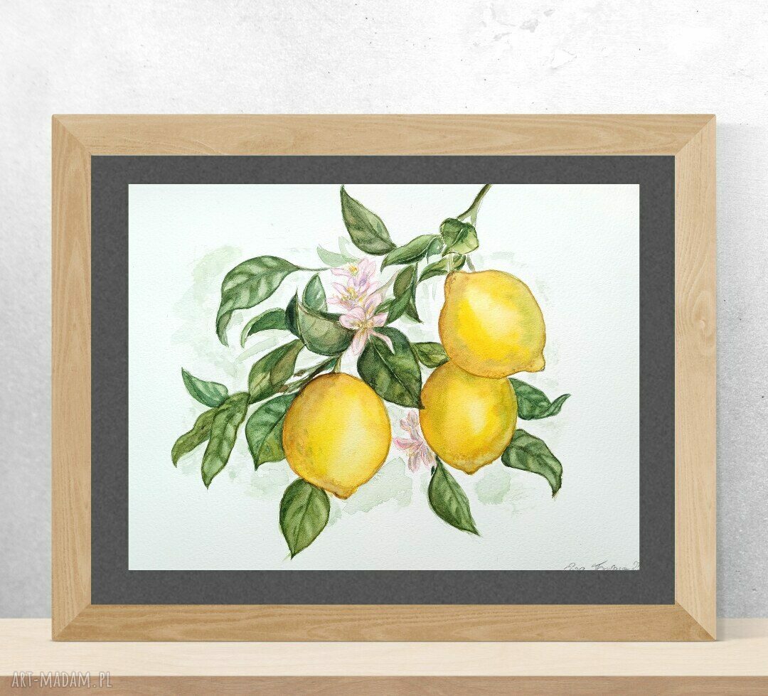 Cytryny - akwarelowy obraz do kuchni (23x31 cm)