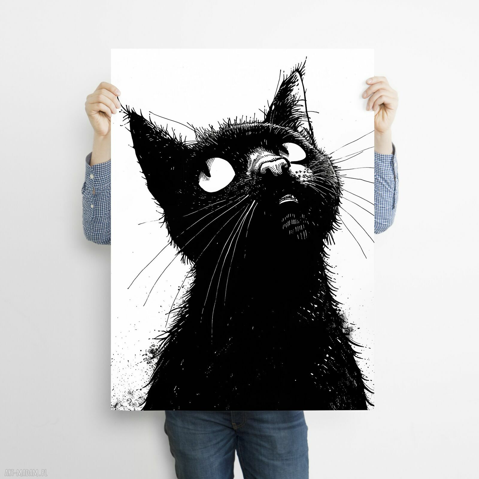 Czarny kot 3 - autorska grafika na plakacie A3 dla kociarzy