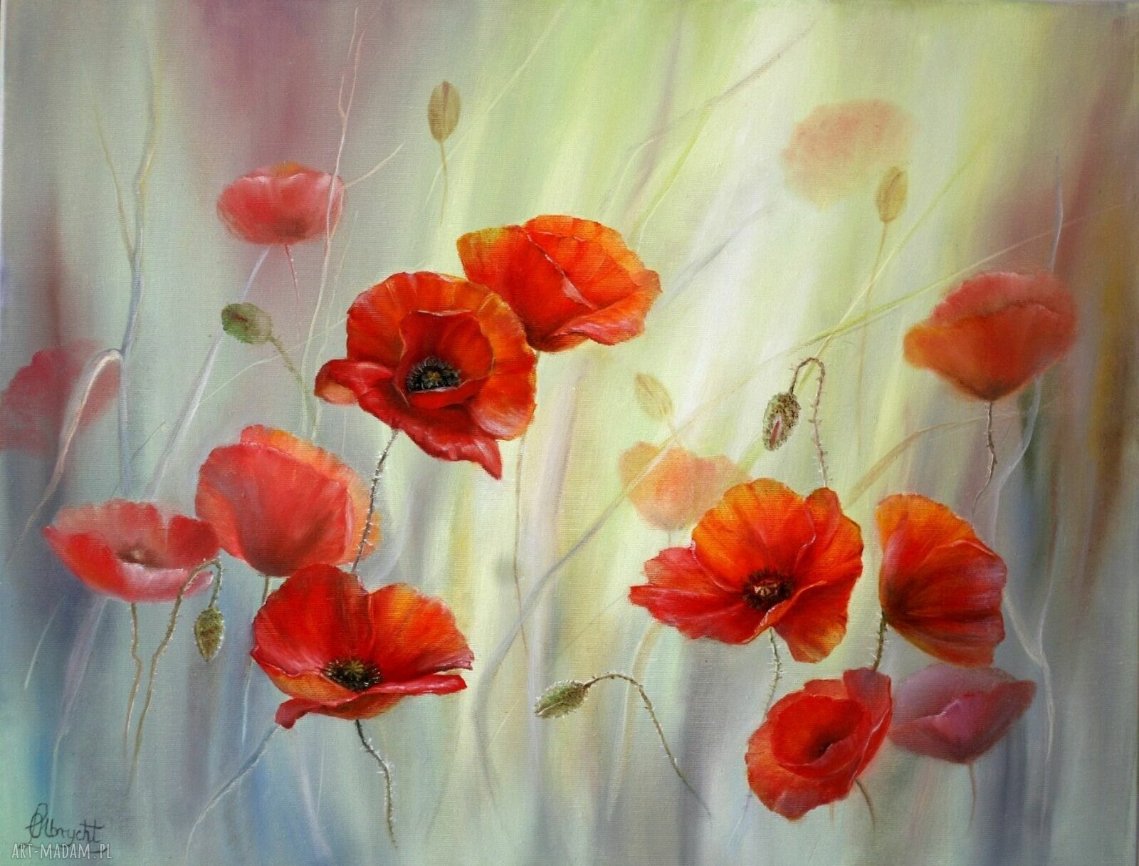 Czerwone maki - impresja: ręcznie malowany obraz olejny 50x70 cm
