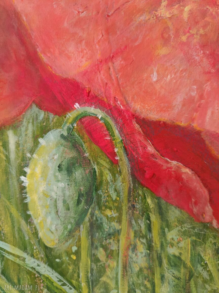 Czerwony polny mak - duży obraz akryl 80x80 cm