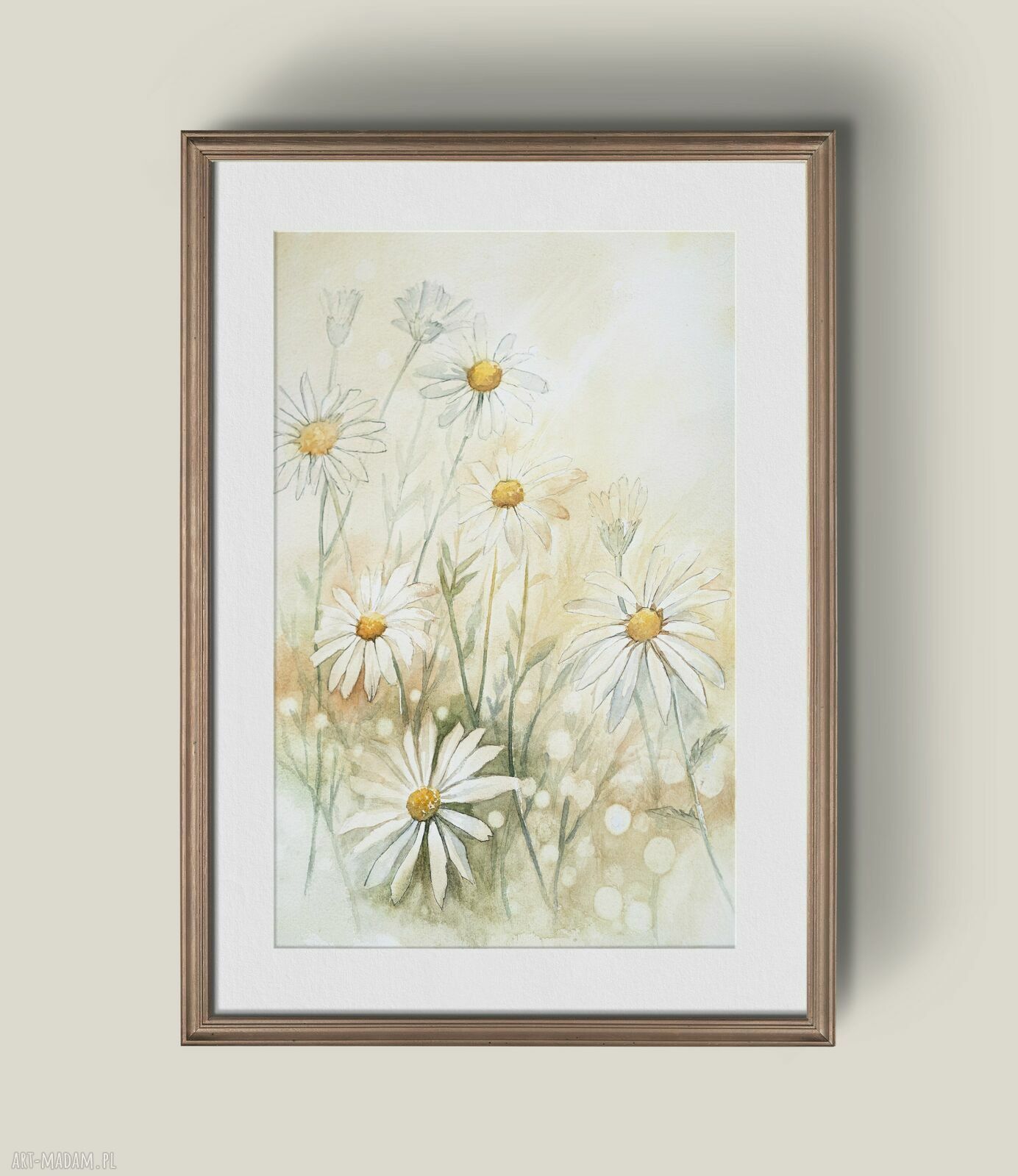 Delikatność natury - akwarela z rumiankami w passe-partout 40x50cm