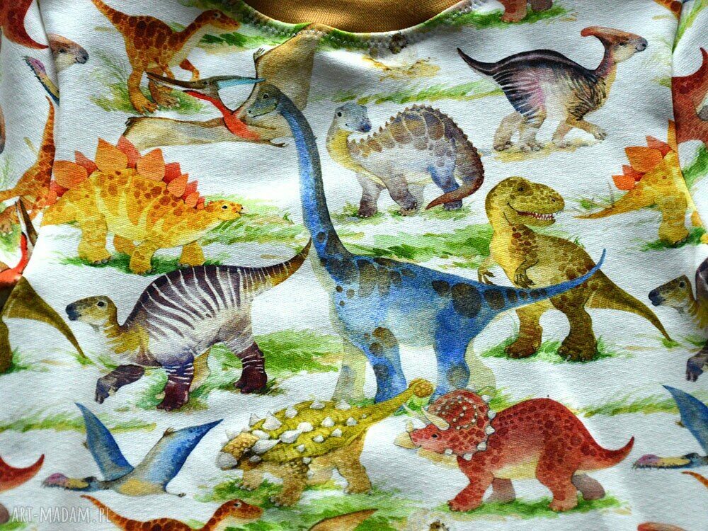 DINOZAURY KREMOWA CAŁOROCZNA BLUZA DZIECIĘCA, Bawełniana bluza z dresówki, ROZMIARY 68 -128