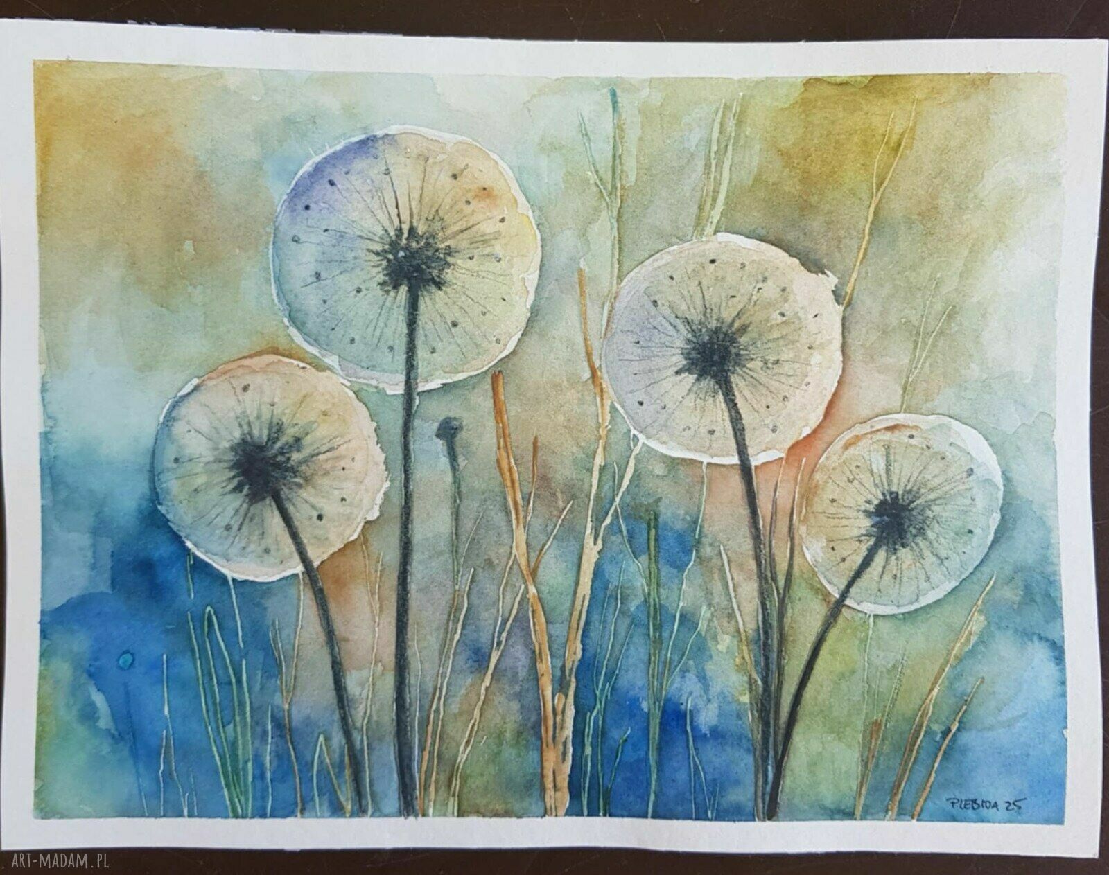Dmuchawce - ręcznie malowana akwarela 18x24 cm Paulina Lebida
