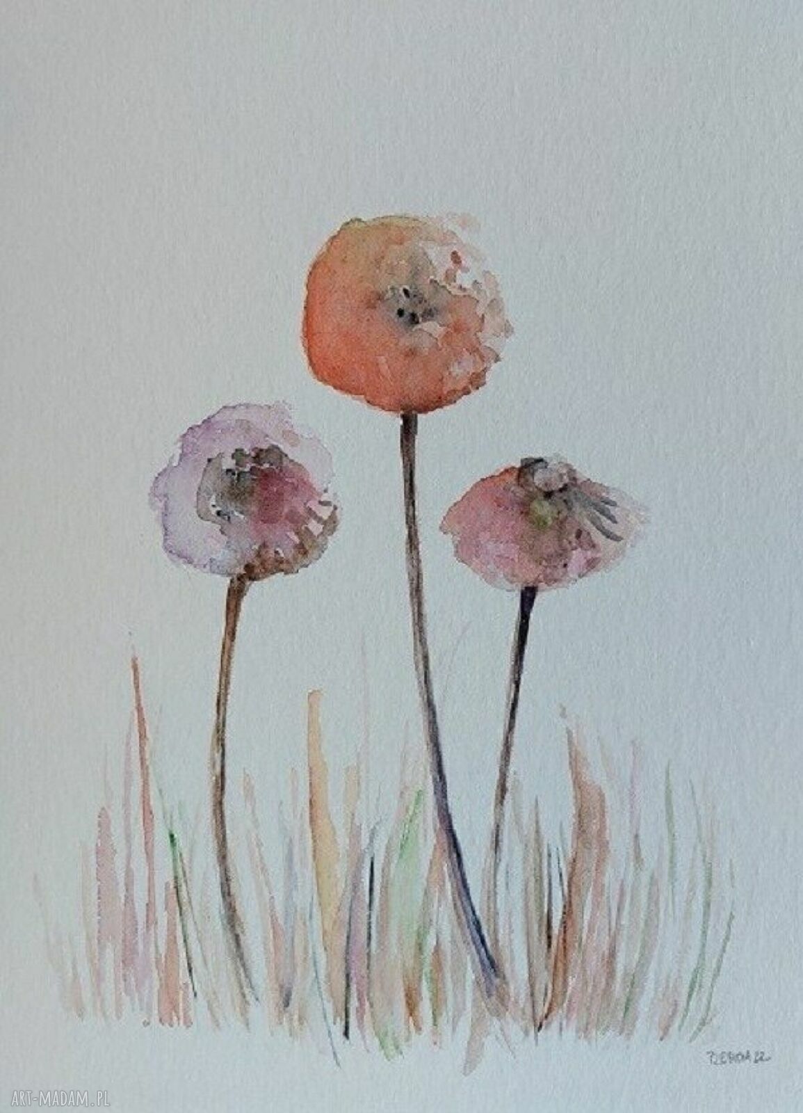 Dmuchawce - akwarela w formacie 32x24 cm