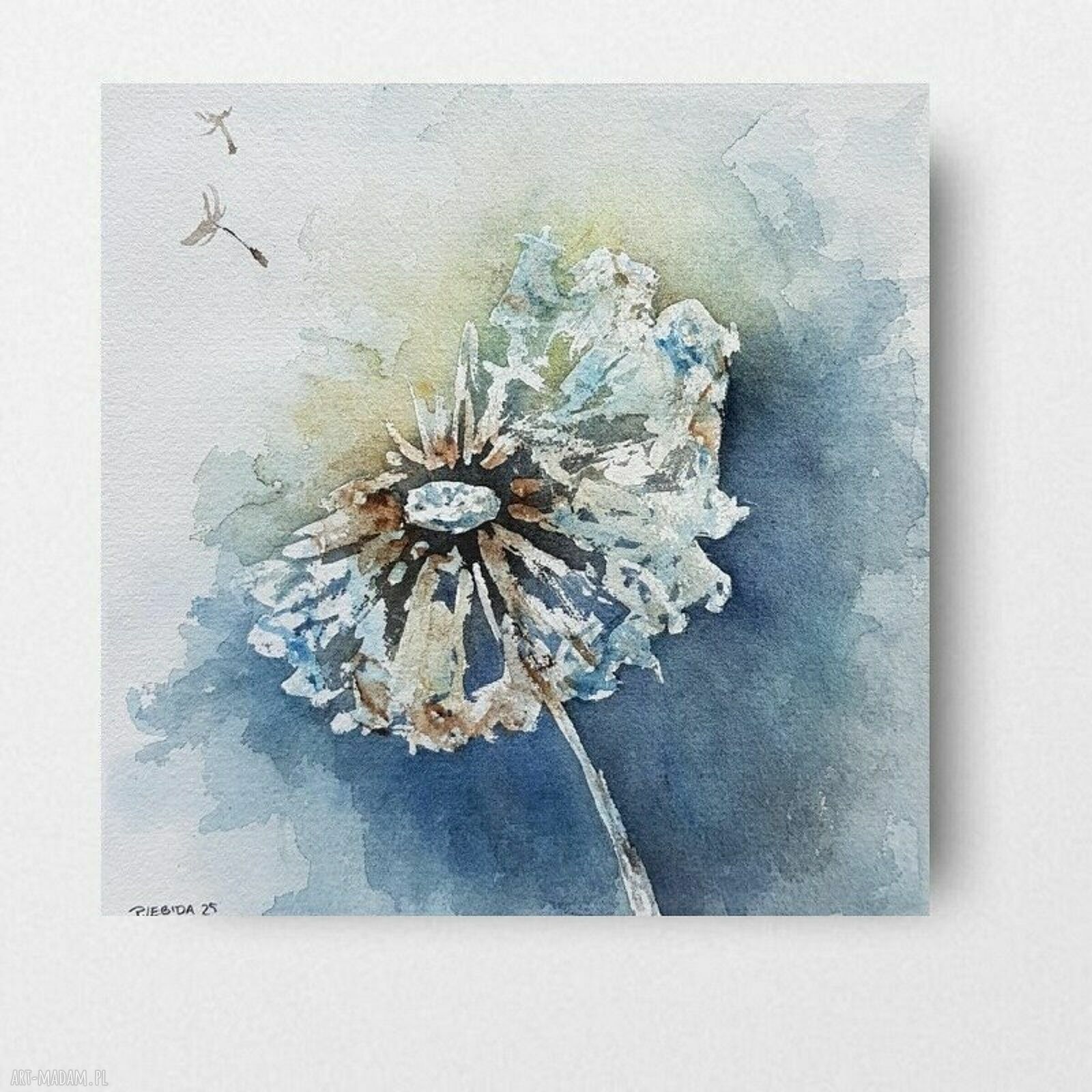 Akwarela Dmuchawiec 20x20 cm - oryginalny obraz bez oprawy