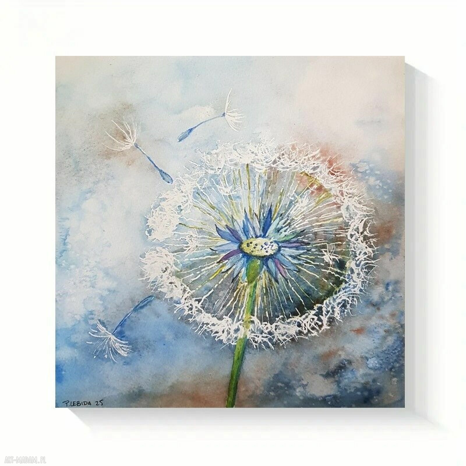 Dmuchawiec - akwarela 25x25 cm ręcznie malowany, sygnowany