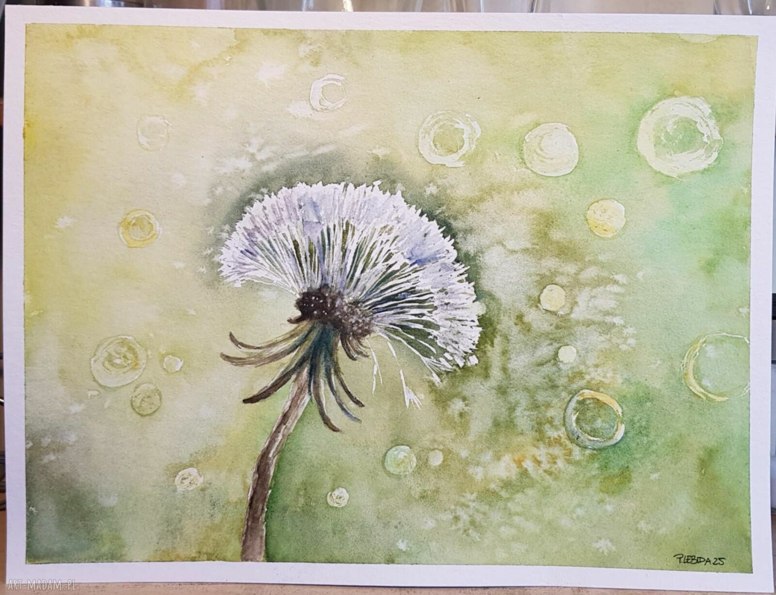 Dmuchawiec - oryginalna akwarela 24/32 cm