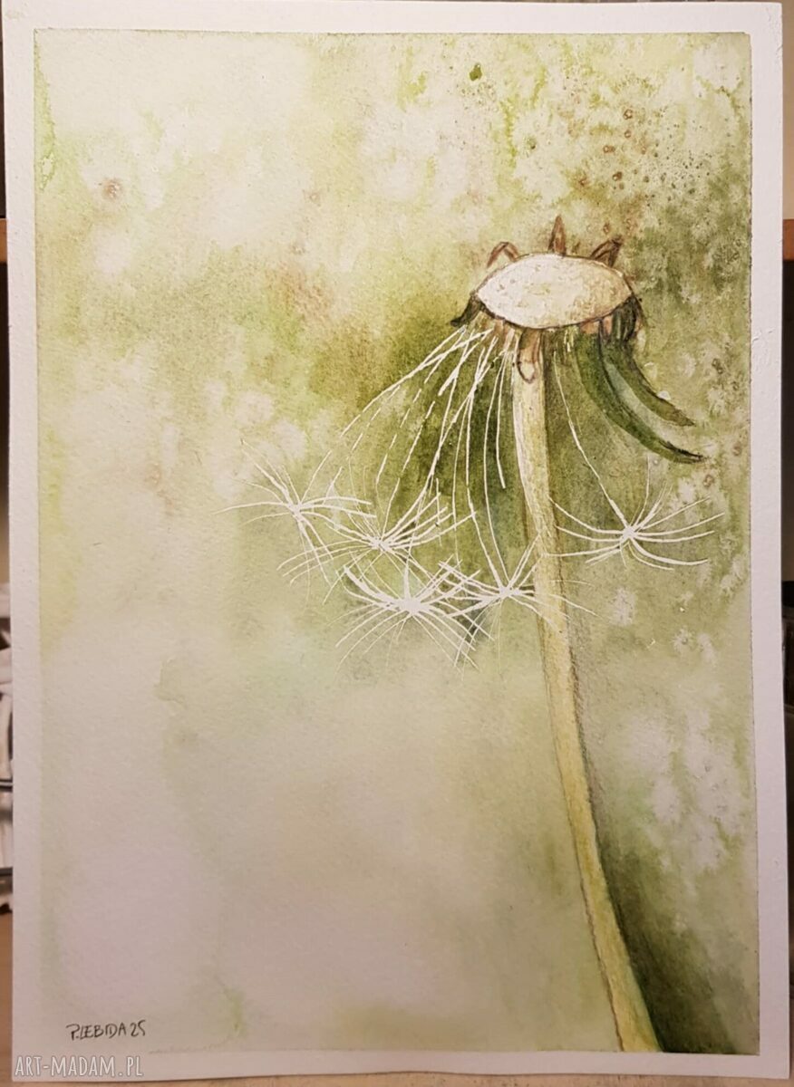 Akwarela „Dmuchawiec” - ręcznie malowana, 25x18 cm