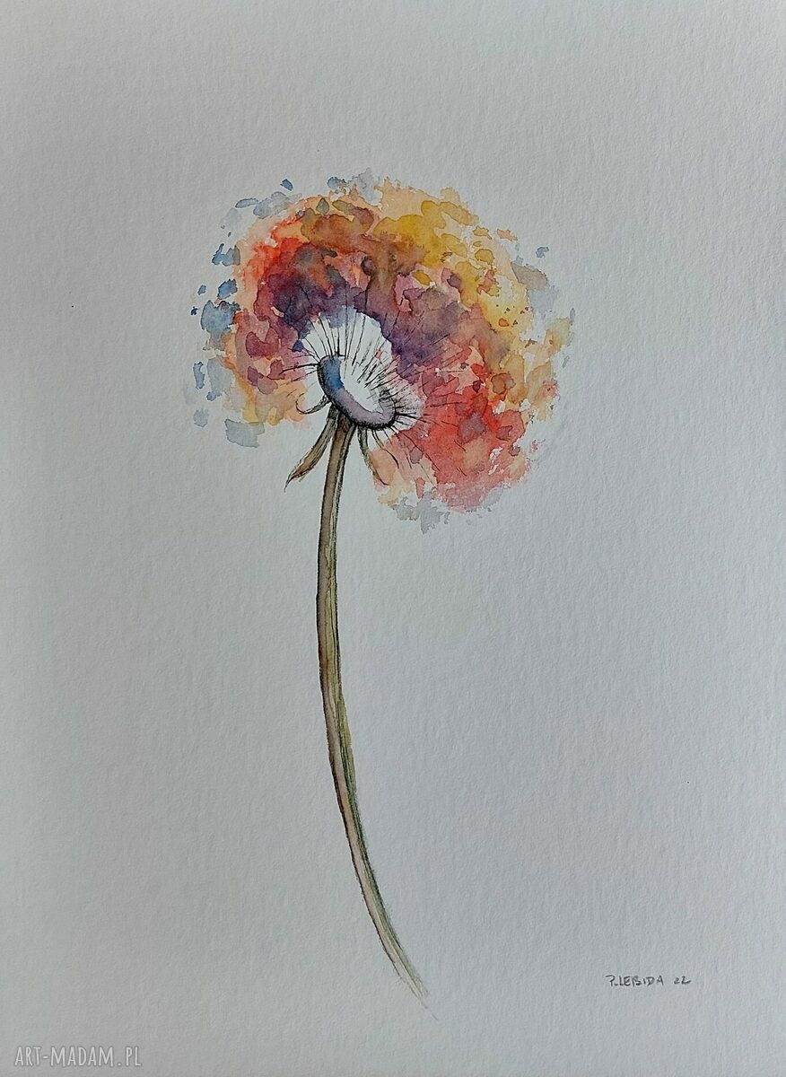 Dmuchawiec - oryginalna akwarela 24/32 cm (sygnowana)
