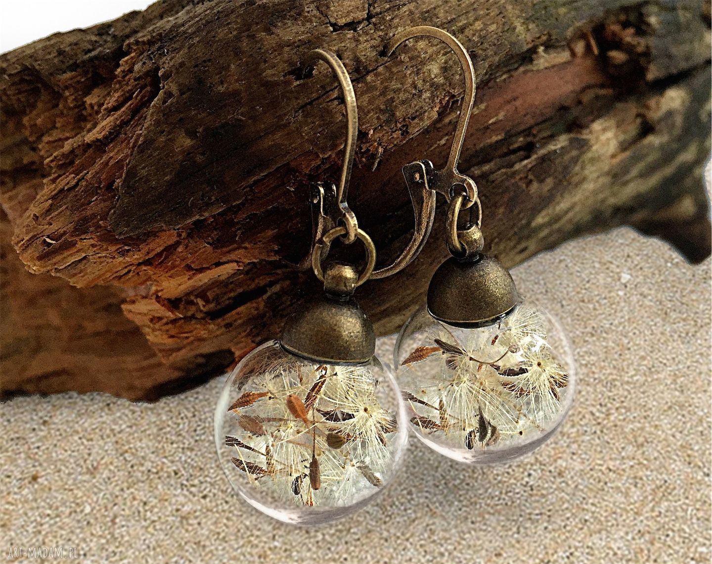 Dmuchawiec kolczyki prawdziwymi nasionami dmuchawce nasiona