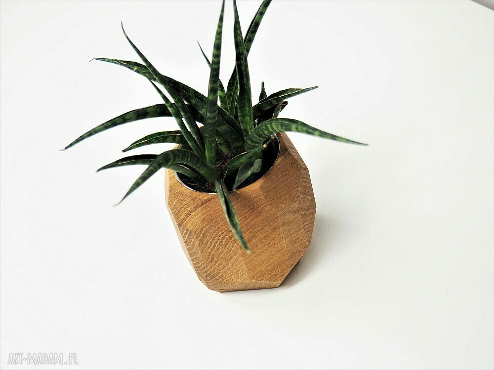Doniczka geometryczna z dębu na sukulenty planter do domu