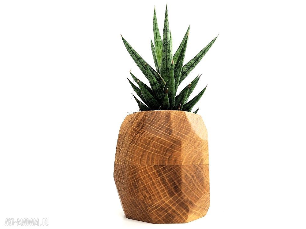 Doniczka geometryczna z dębu na sukulenty planter do domu
