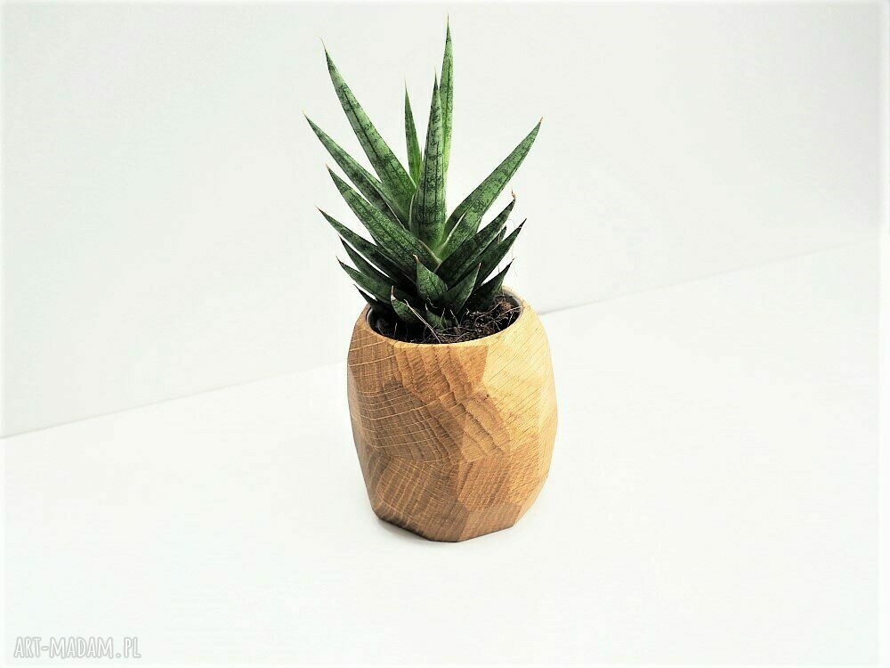 Doniczka geometryczna z dębu na sukulenty planter do domu