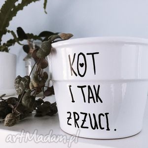 doniczka kot i tak zrzuci