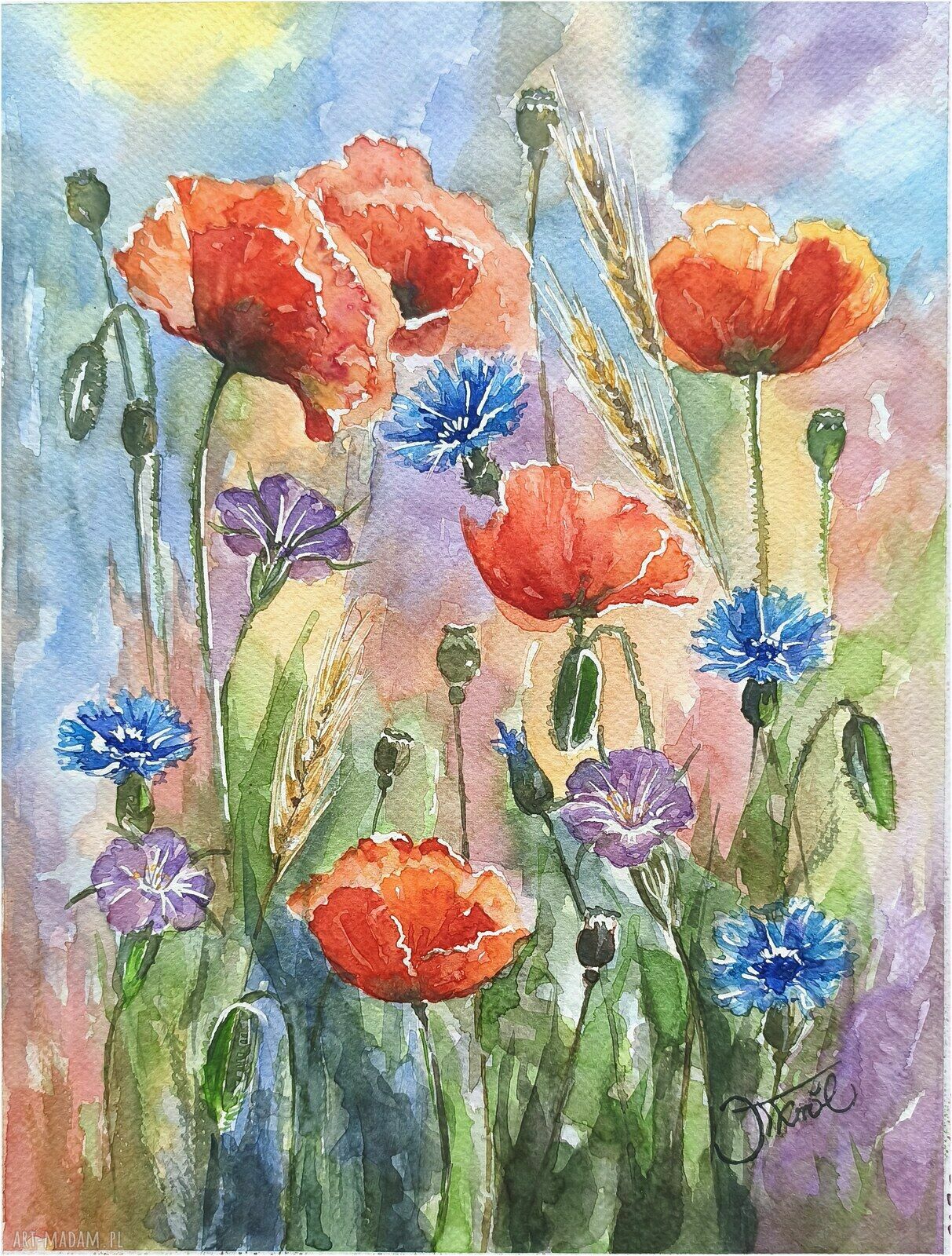 Dotyk lata - oryginalna akwarela 24 x 32 cm z kwiatami łąkowymi