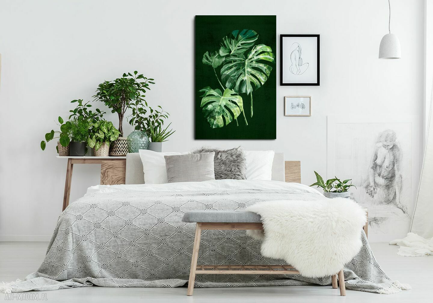 Obraz z kwiatem Monstera 70x100 cm - druk na płótnie do salonu