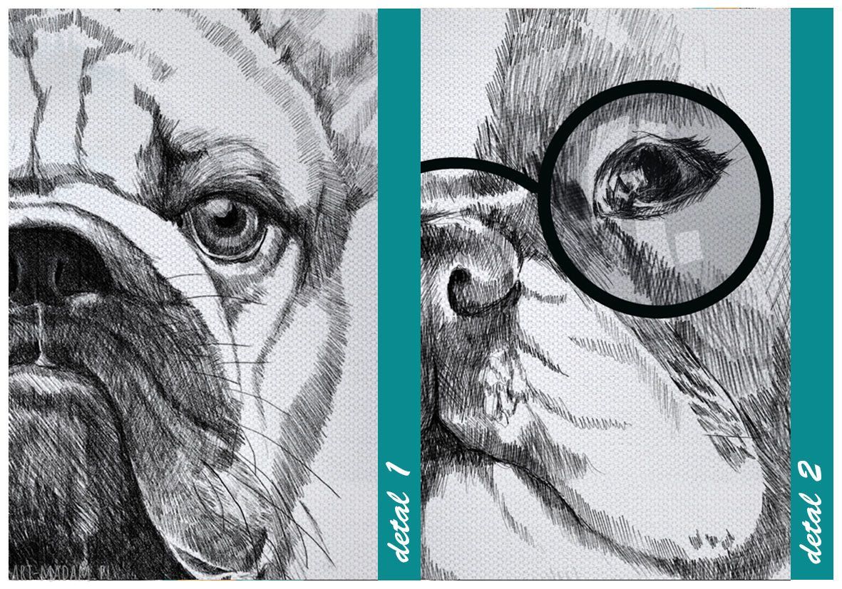 Obraz drukowany na płótnie Buldogi Francuskie - rodzina 120x80 cm