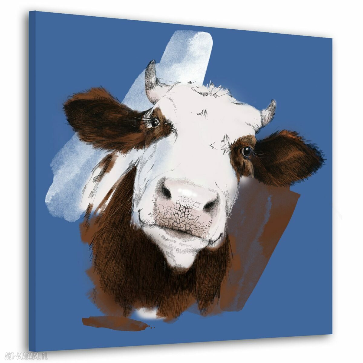 Obraz na płótnie Łaciata krowa na niebieskim tle 80x80 cm