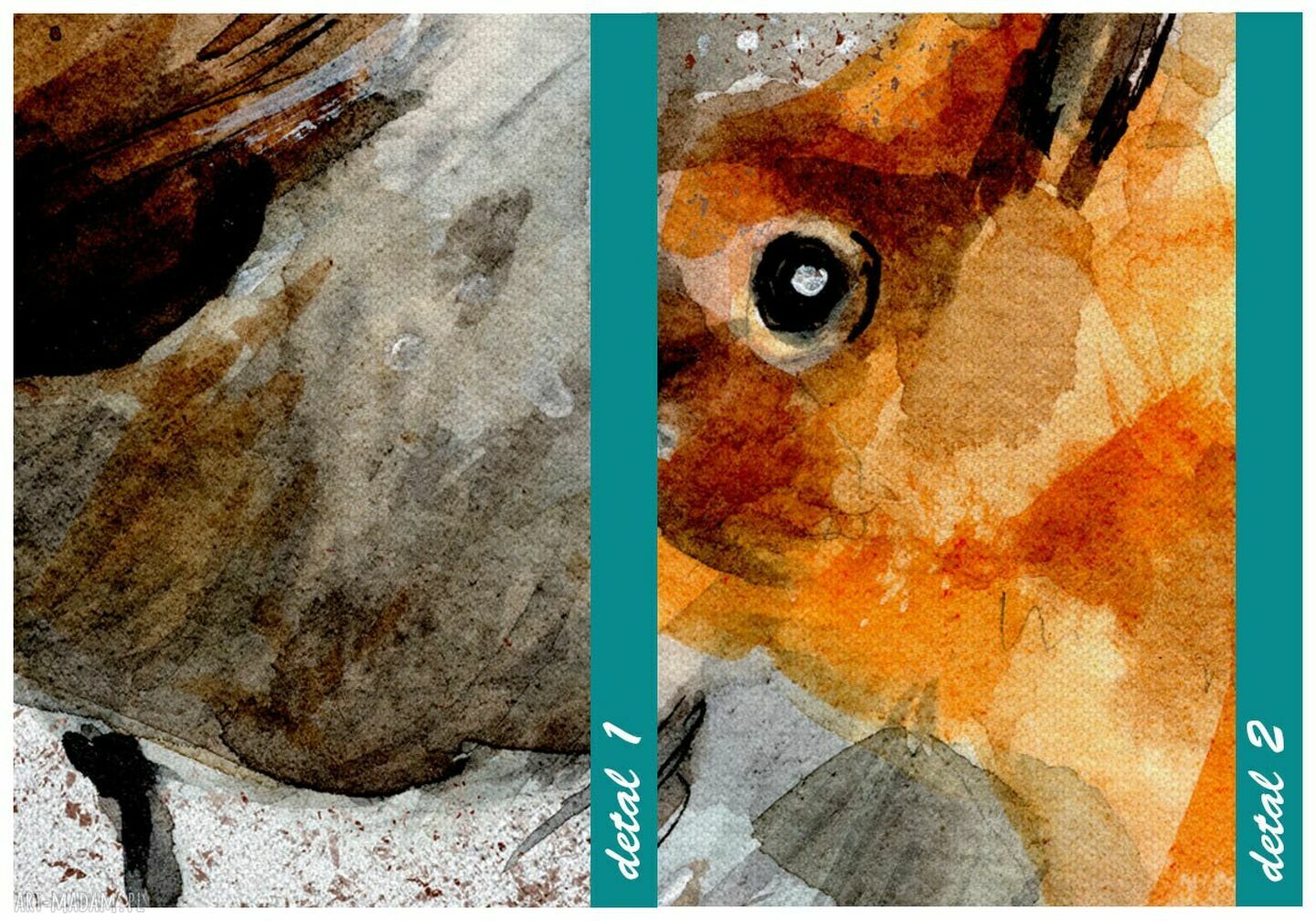 Obraz drukowany na płótnie Akwarelowy Rudzik 40x60 cm 02641
