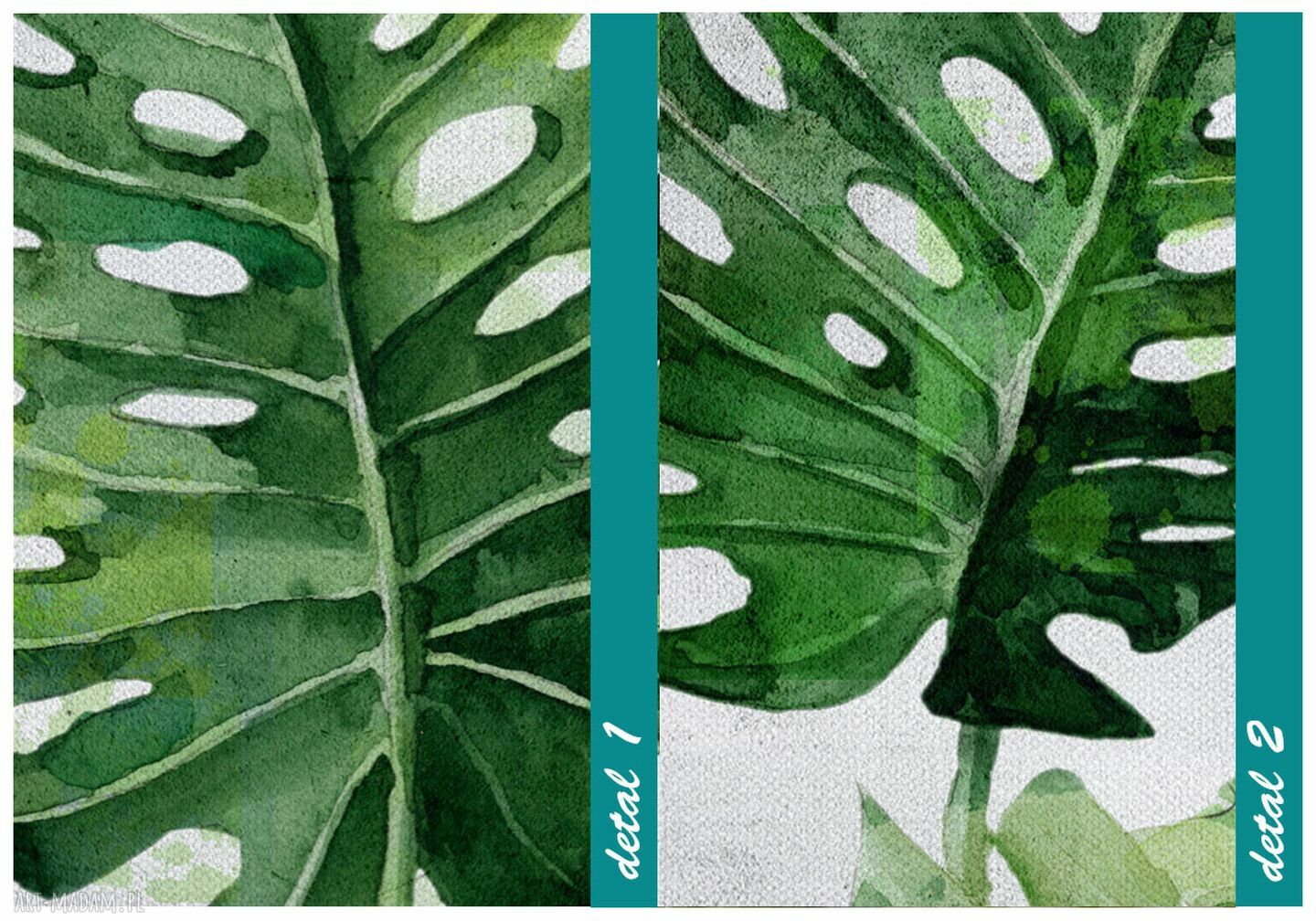 Obraz drukowany na płótnie Kwiat Monstera 80x120 cm - gotowy do zawieszenia