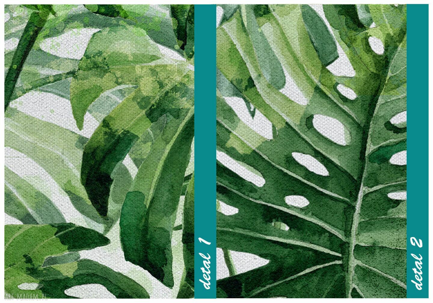 Obraz drukowany na płótnie Kwiat Monstera 120x80 cm