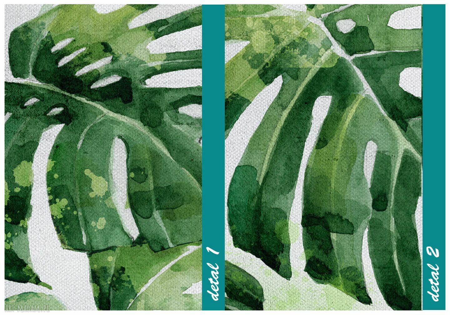 Obraz drukowany na płótnie Kwiat Monstera 80x120 cm 03142