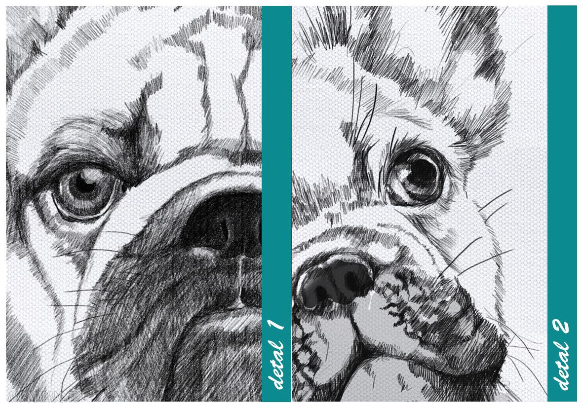 Obraz na płótnie z rodziną buldogów francuskich 120x80 cm