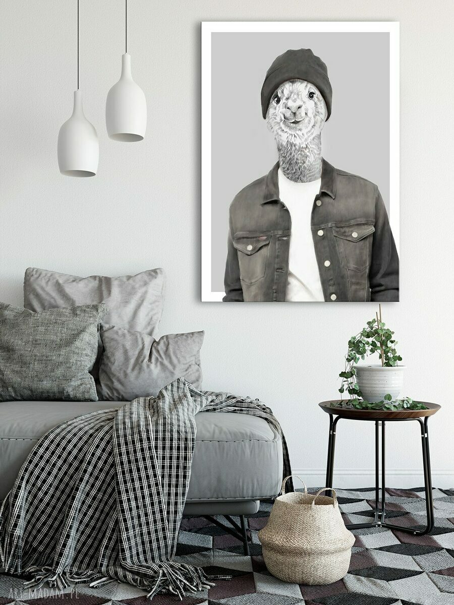 Obraz drukowany na płótnie ALPAKA BOY 70x100 cm - gotowy do zawieszenia
