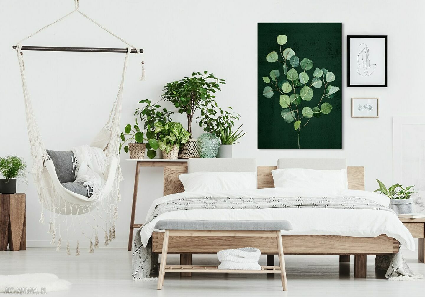 Obraz Eukaliptus na płótnie 70x100 cm - gotowy do zawieszenia