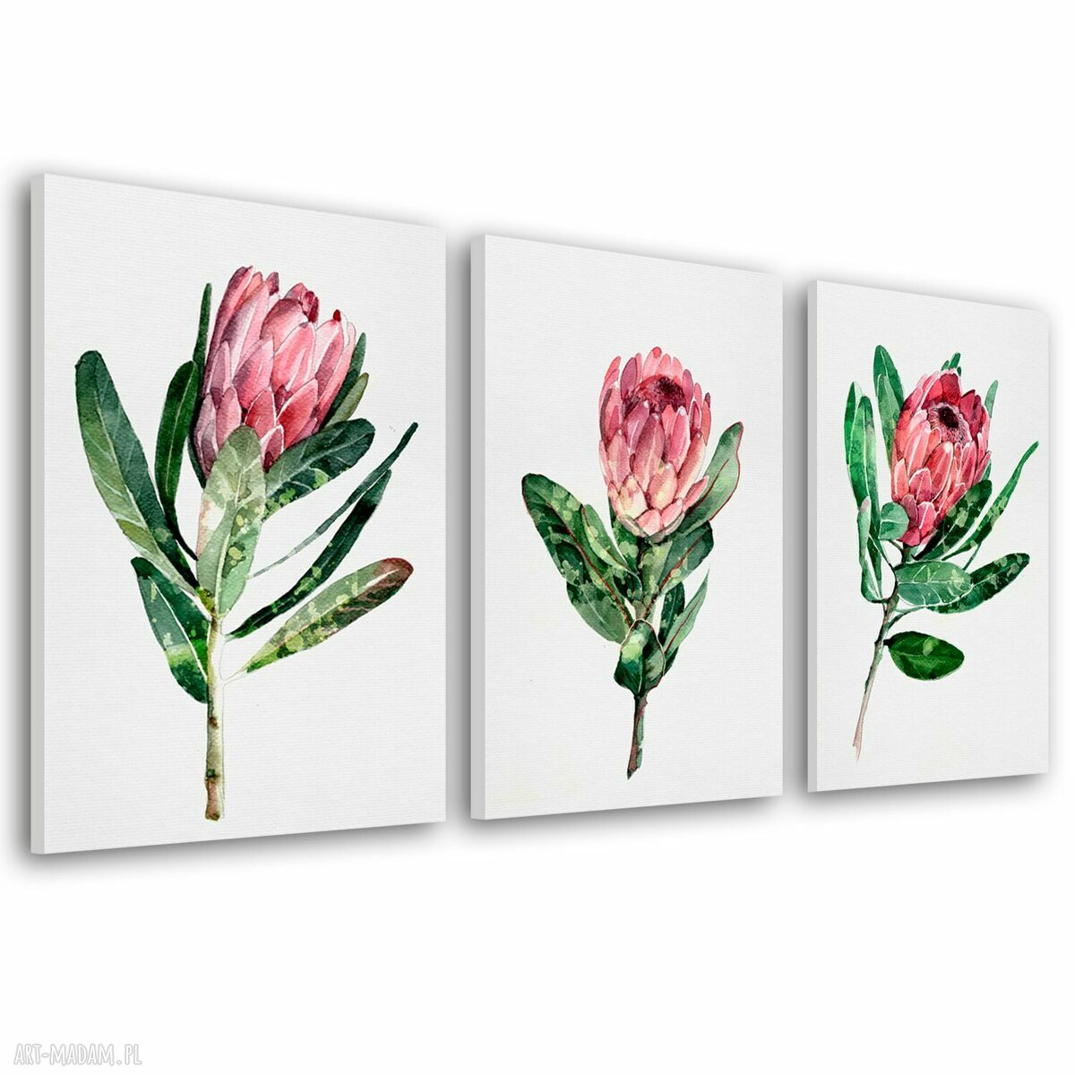 Tryptyk z peoniami 150x70 cm - obraz drukowany na płótnie