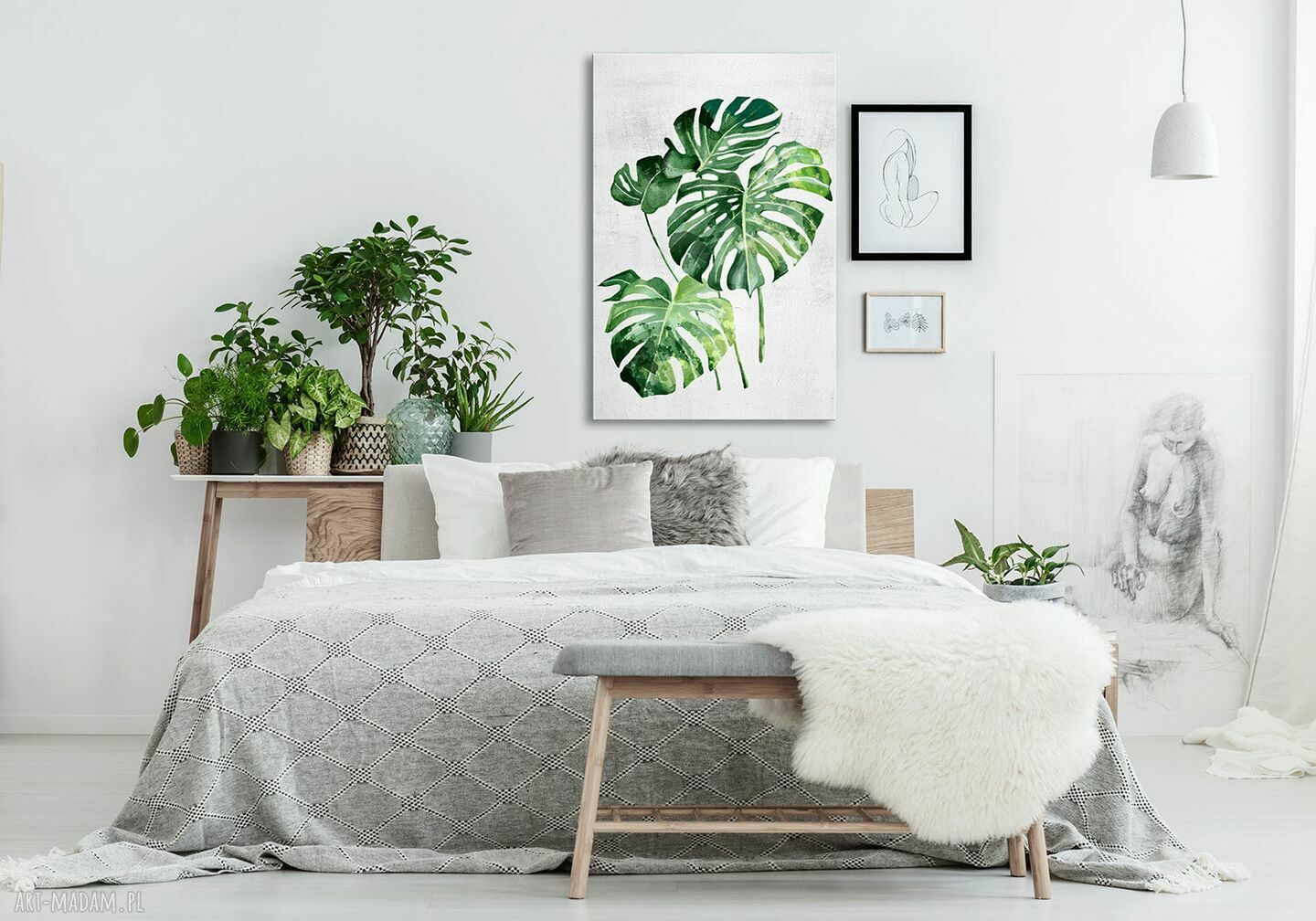Kwiat Monstera 70x100 cm - nowoczesny obraz drukowany na płótnie