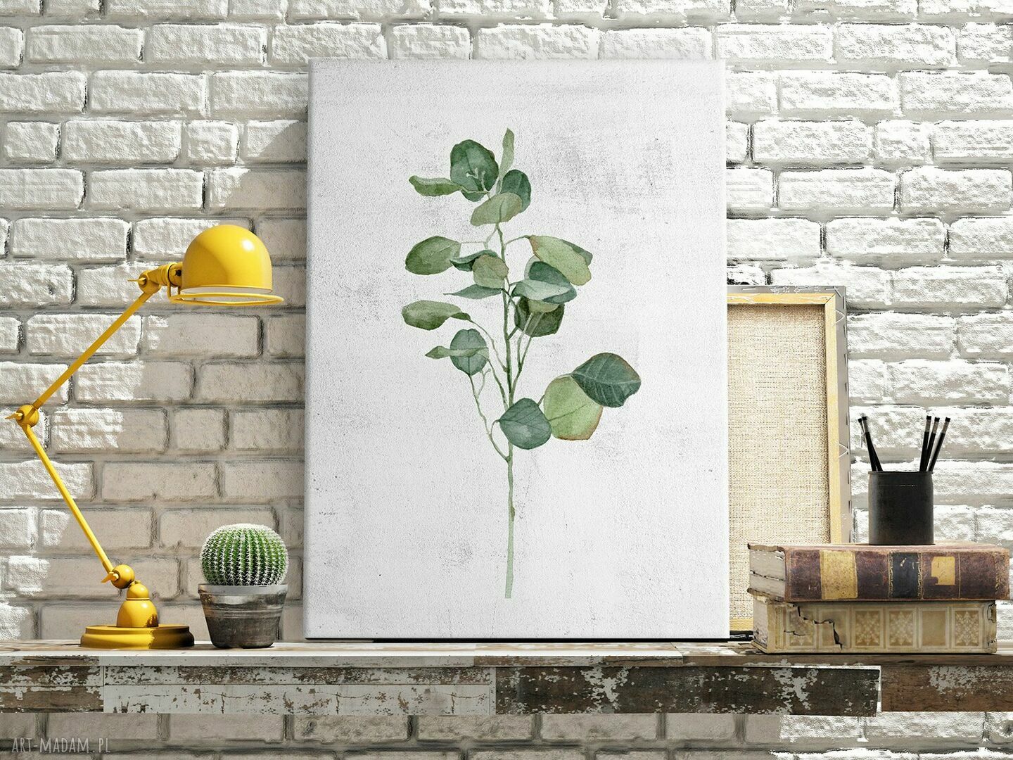 Obraz Eukaliptus 40x60 cm do salonu