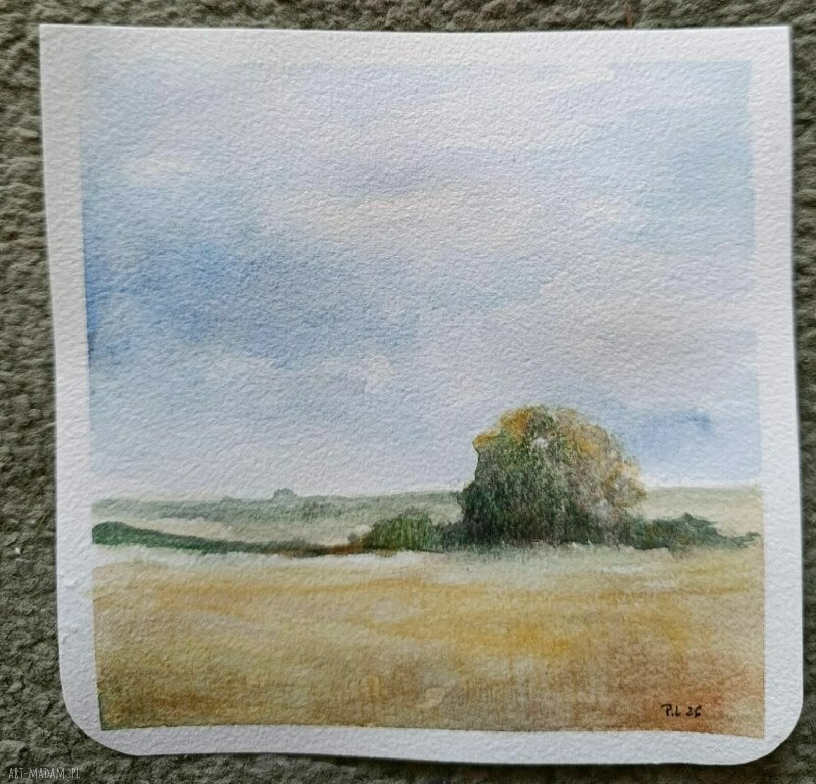 Drzewko - akwarela 15x15 cm (bez ramy) sygnowana przez Paulinę Lebidę