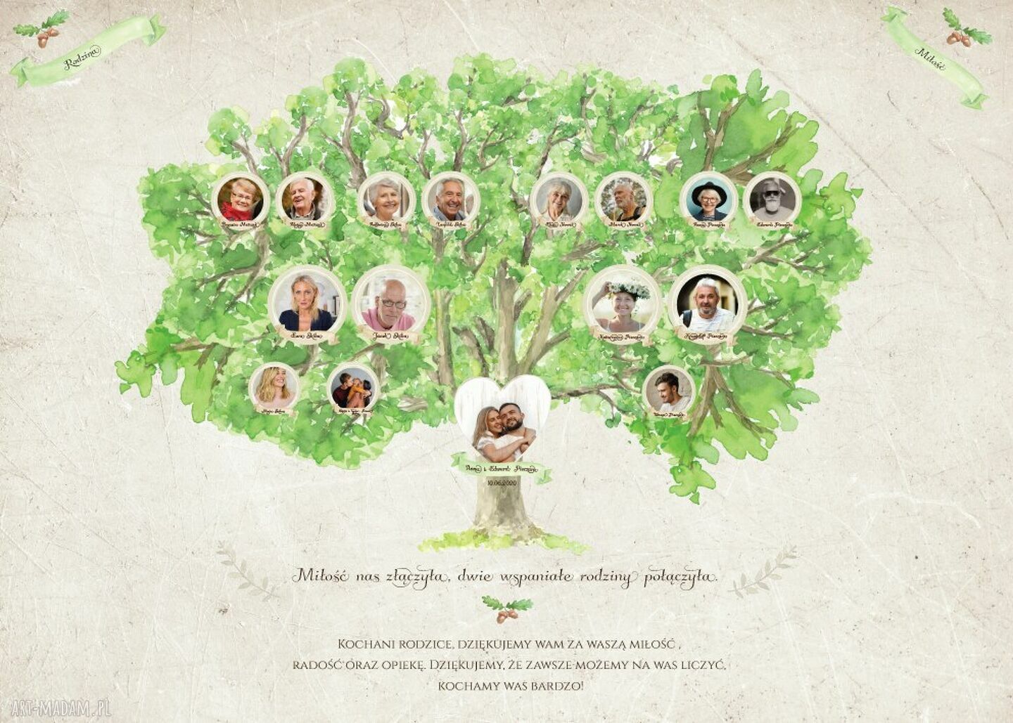 Drzewo genealogiczne dla rodziców dziadków prezent 55x80 cm