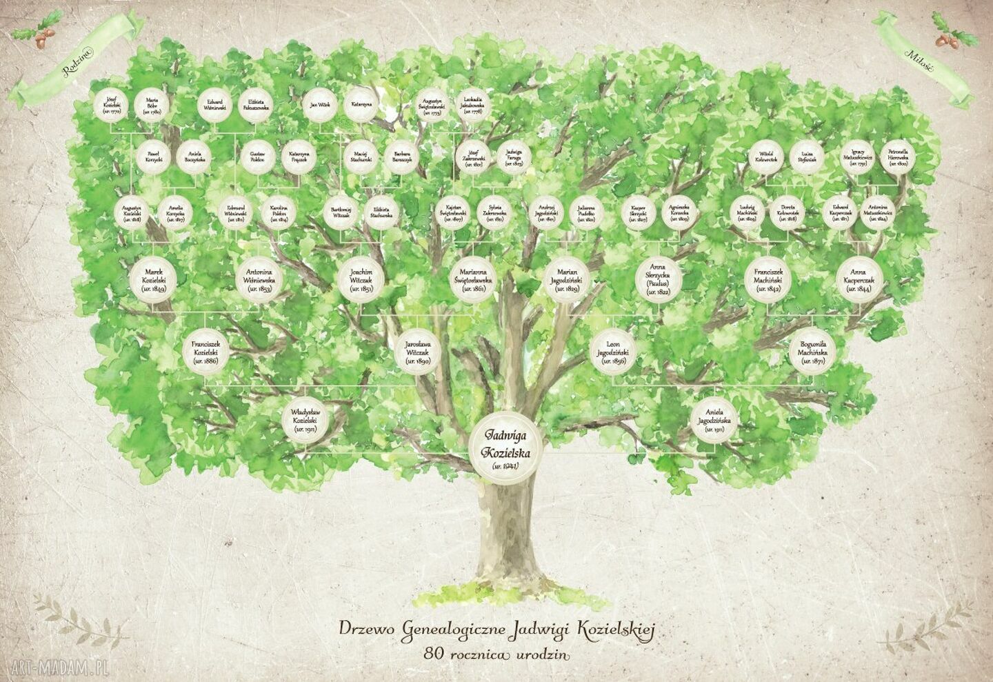Personalizowane drzewo genealogiczne 40x60 cm - pamiątka dla dziadków