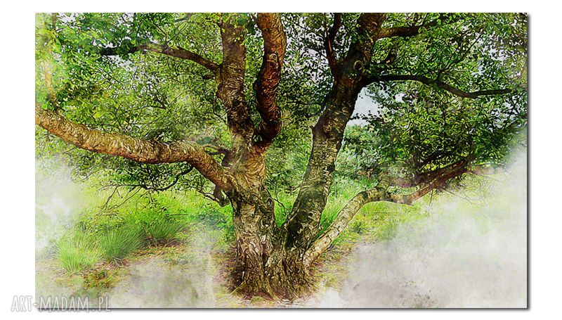 Obraz Drzewo 37 - 120 x 70 cm na płótnie Canvas (dąb) - gotowy do powieszenia