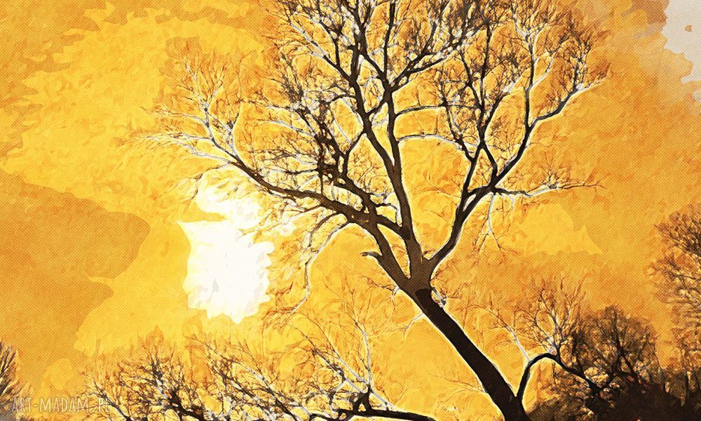 Obraz Drzewo 42 120x70 cm na płótnie Canvas - las do salonu