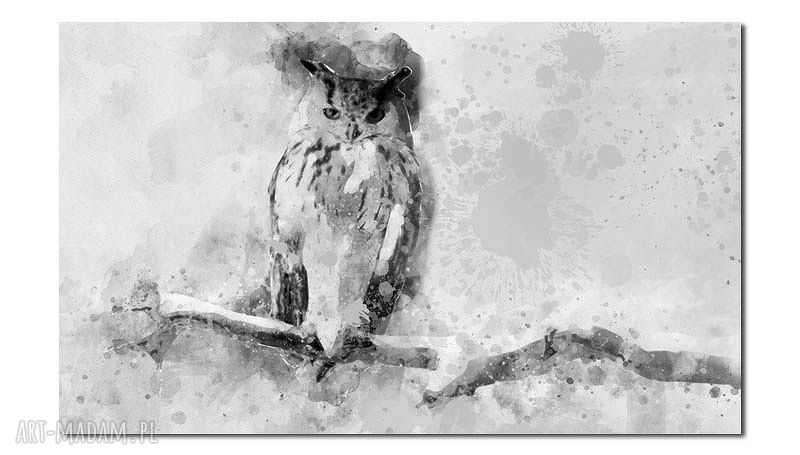 Duży obraz z sową 120x70 cm na płótnie - nowoczesna dekoracja ścienna