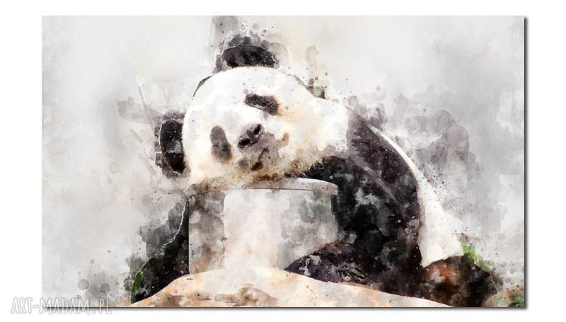 Nowoczesny obraz Panda 120x70 cm na płótnie canvas