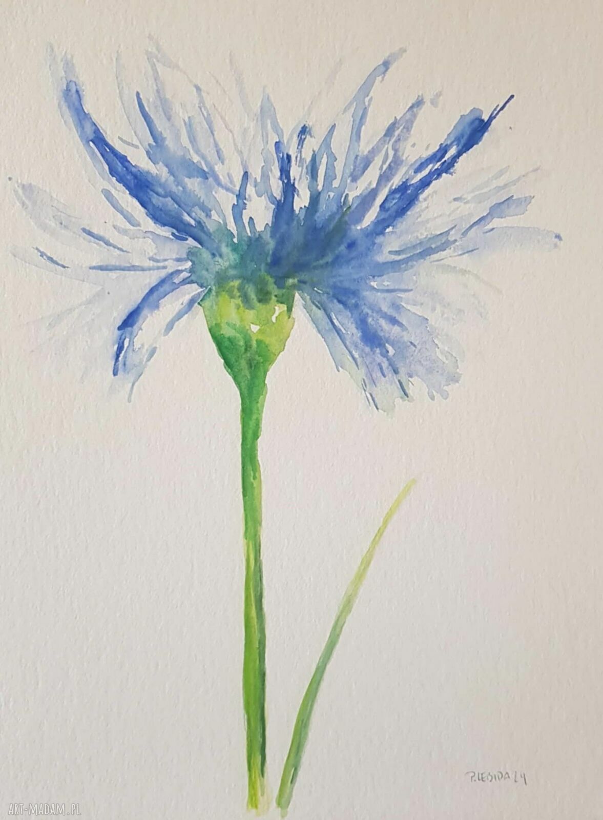 Komplet dwóch akwarel Kwiaty - ręcznie malowane 32 x 24 cm (2 szt.)