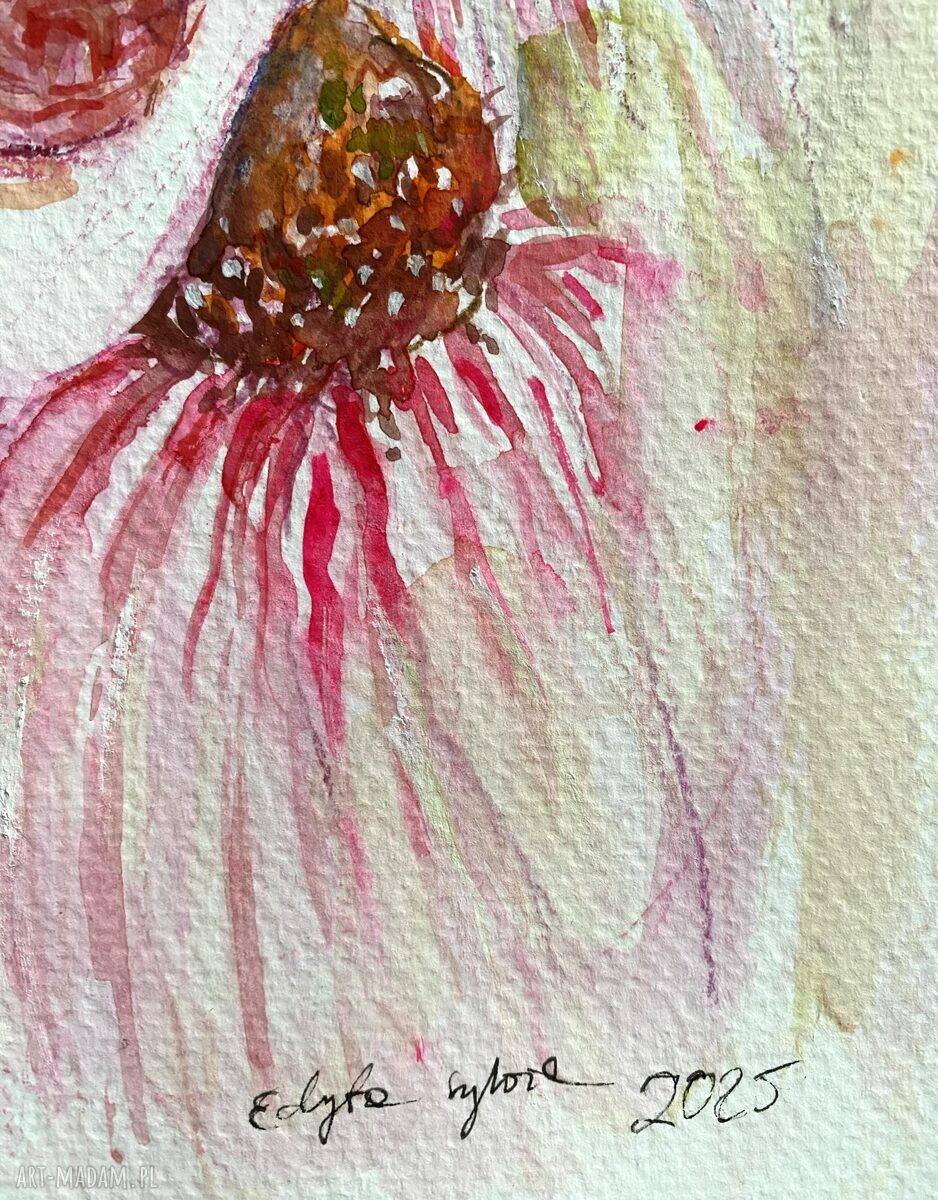 Echinacea - akwarela na papierze, portret kobiety
