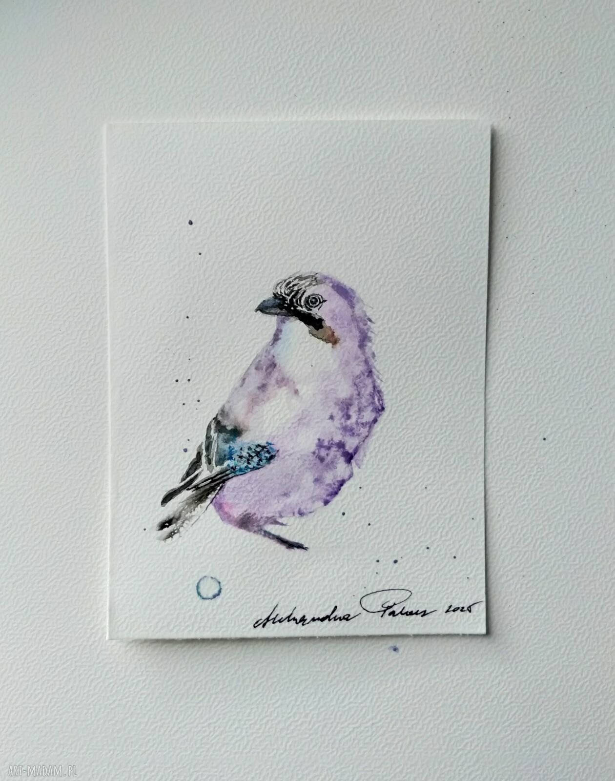 Elegancka sójka - akwarela na papierze 12 x 16 cm (Lhotse Design)