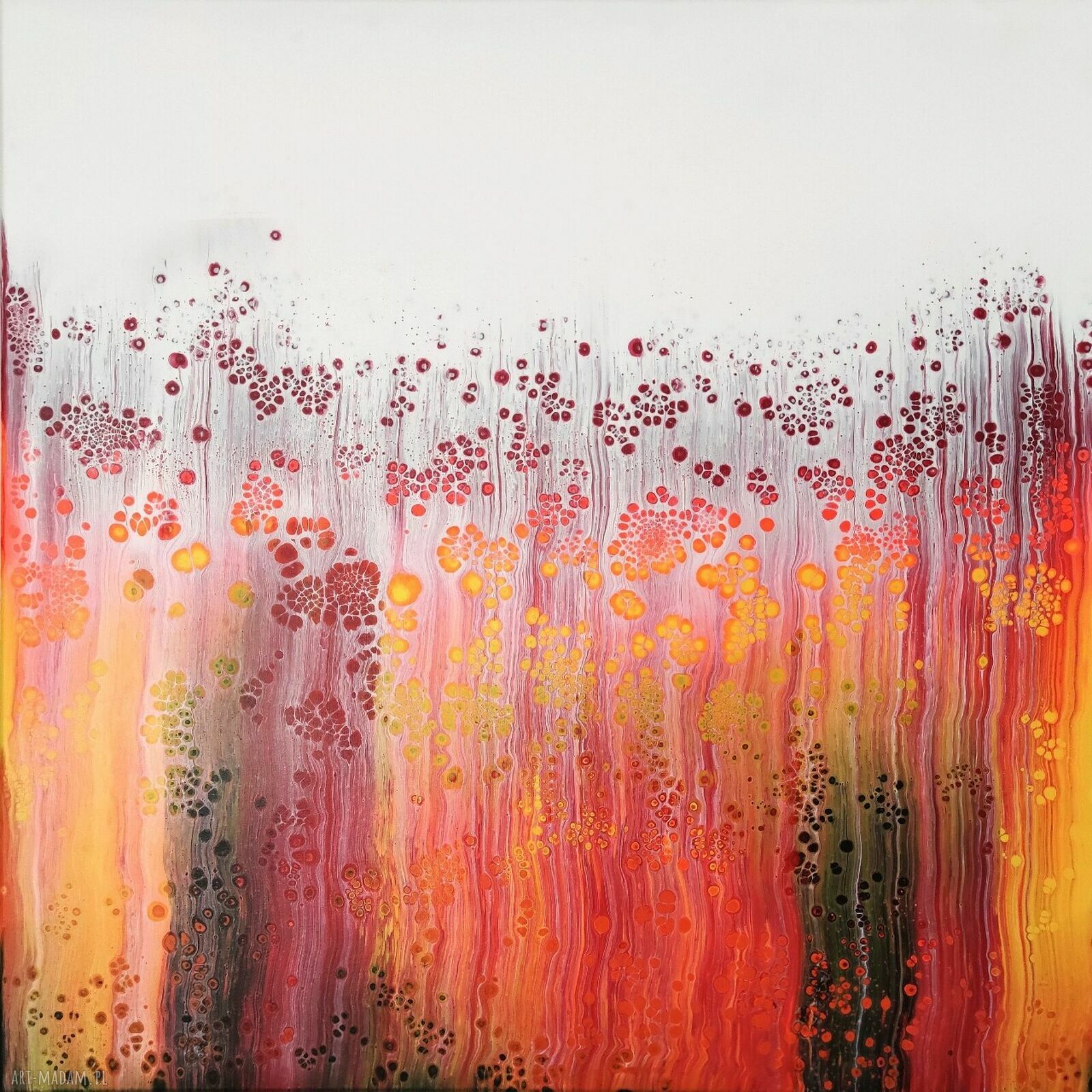FLUO - obraz abstrakcyjny z akrylu 80x80 cm do salonu