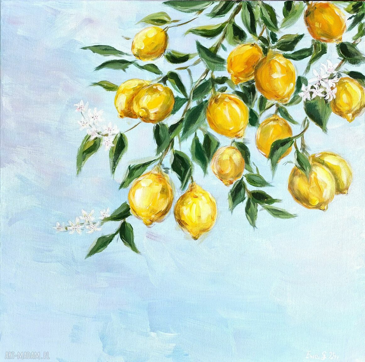 Gałązka cytryny - obraz akrylowy 50x50 cm