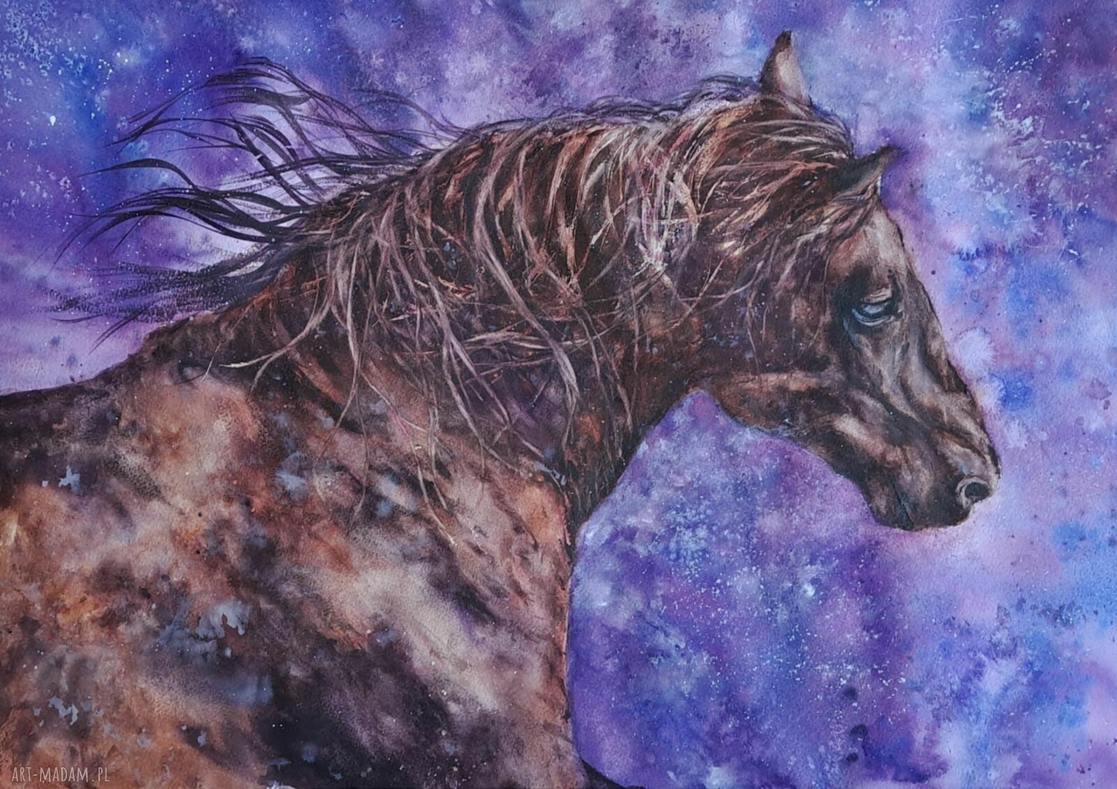 Galopujący koń - oryginalna akwarela 43x61 cm