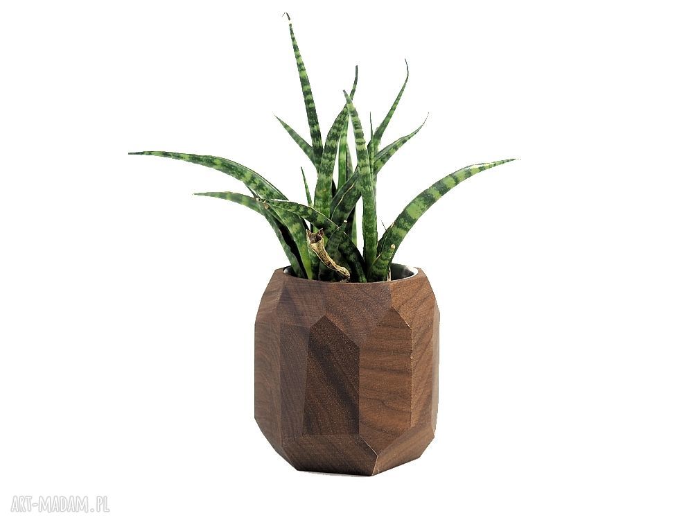 Geometryczna doniczka na sukulenty - ręcznie robiona dekoracja do wnętrza