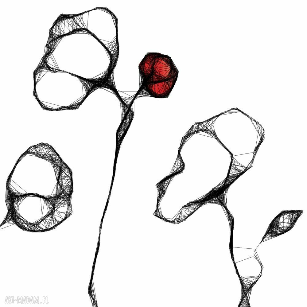 Grafika nr 7 - maki
