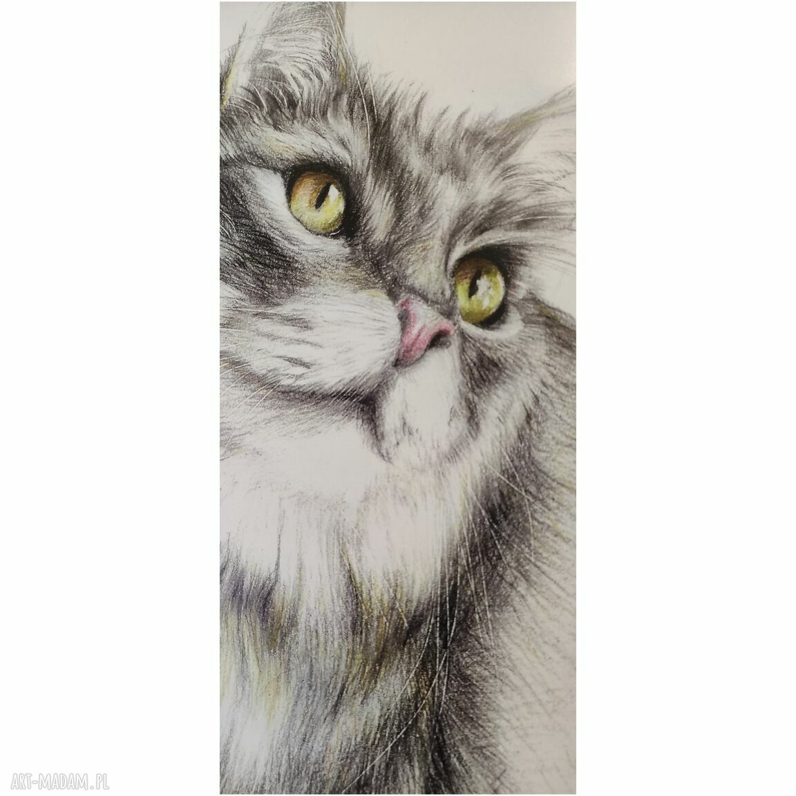 Grafika rysunek kota - plakat art print A3 (297x420 mm)