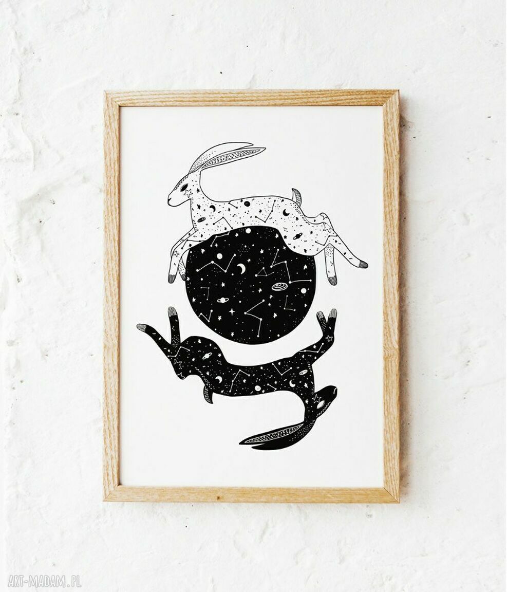 Gwiezdne zające - plakat 30x40 cm