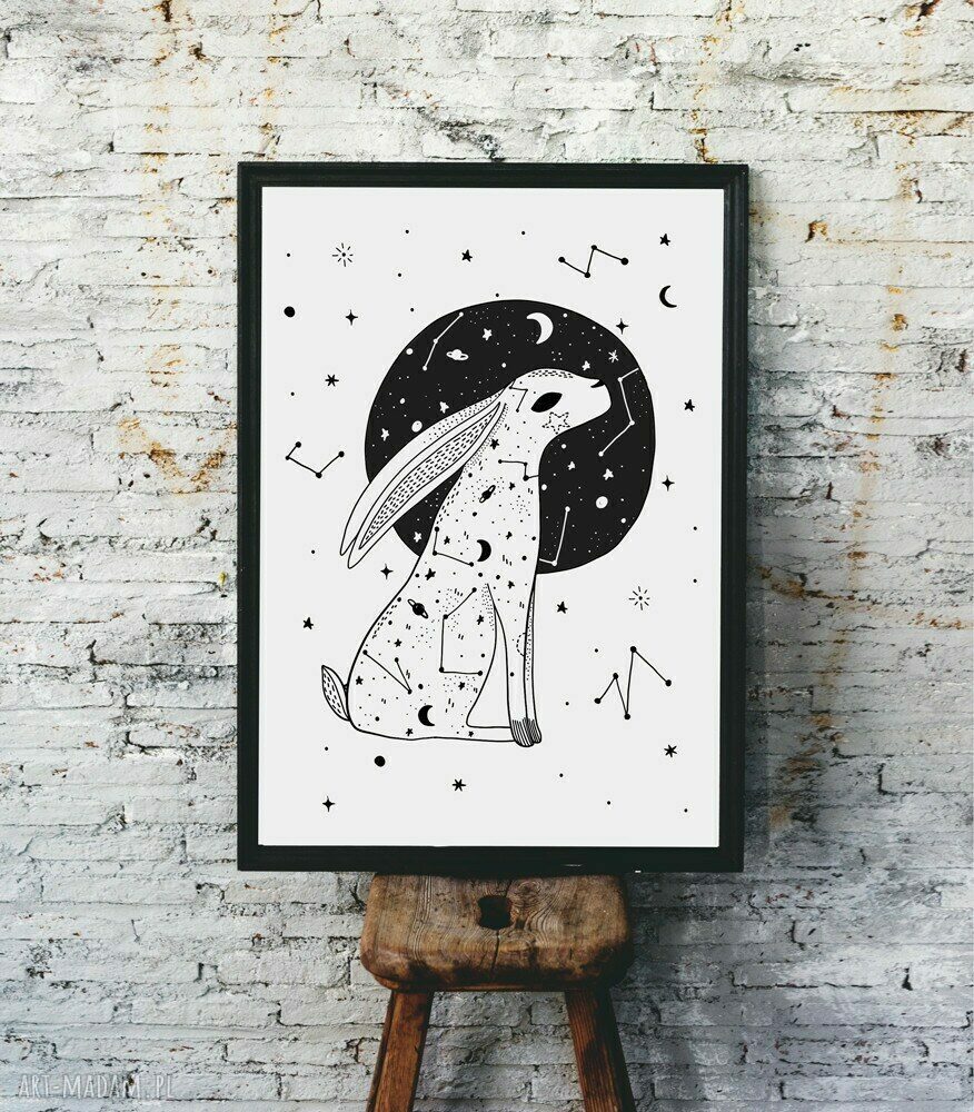 Gwiezdny zajączek - czarno-biały plakat 40x50 cm